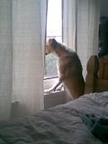 th_NeighbourhoodWatch.jpg